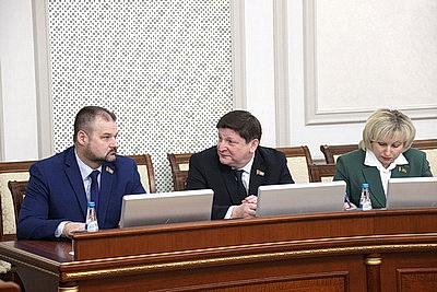 Сергеенко: законопроекты экономического блока следует подготавливать в максимально короткие сроки
