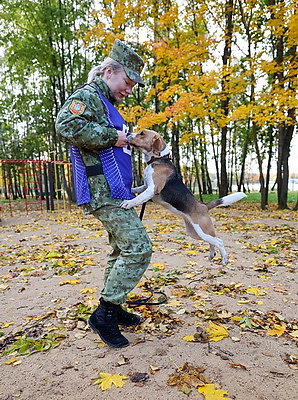 В Беларуси проходит чемпионат по служебному многоборью кинологов