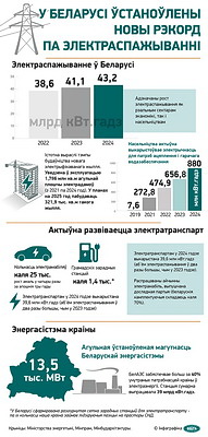 Инфографика. В Беларуси установлен новый рекорд по электропотреблению