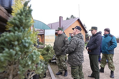 Молодые деревца на 400 га высадят в Брестской области во время акции \"Дай лесу новае жыццё!\"