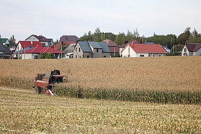 Хозяйства Гродненской области приступили к уборке кукурузы