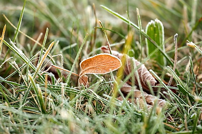 ФОТОХРОНИКА начинает новый информационный день