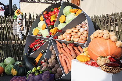 Праздник урожая. Кричев принимает областные \"Дажынкi-2025\"