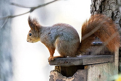 ФОТОХРОНИКА начинает новый информационный день