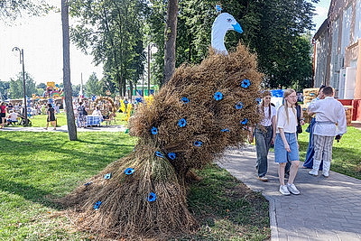 \"Льняная карусель\" закружила в Корме