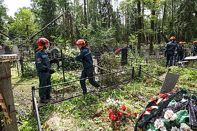 Ликвидация последствий стихии. Ход восстановительных работ в Могилеве