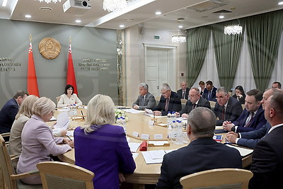 Законопроект по вопросам административной ответственности рассмотрен на заседании экспертного совета