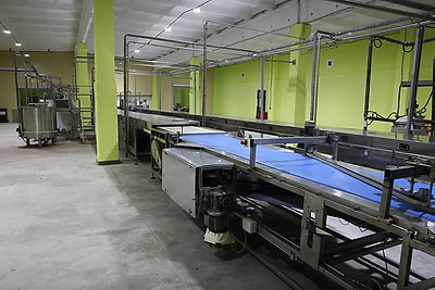 Матусевич ознакомился с работой ряда предприятий Быховского района