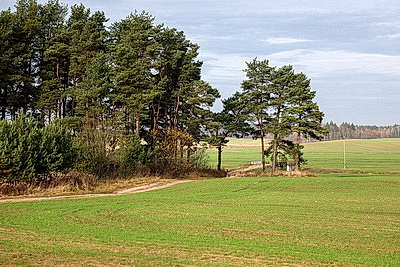 ФОТОХРОНИКА начинает новый информационный день