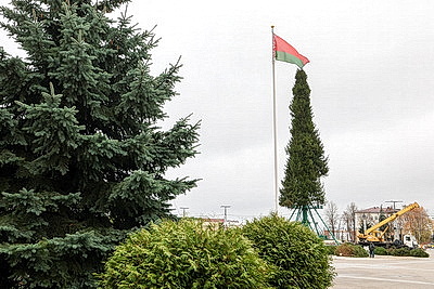 Пиксельные панно и три километра гирлянд. В Витебске идет монтаж главной новогодней елки