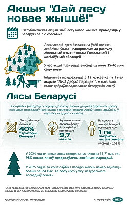 Инфографика. Акция \"Дай лесу новае жыццё!\"