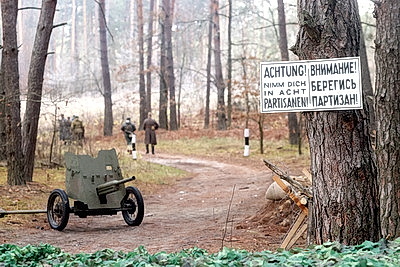 Военно-историческая реконструкция, посвященная Гомельско-Речицкой наступательной операции, прошла в Гомельском районе