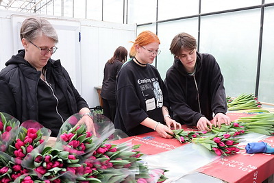 Кухарев ознакомился с результатами масштабной модернизации на Минском парниково-тепличном комбинате