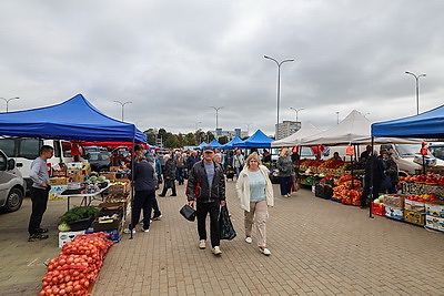 Сельскохозяйственные ярмарки стартовали в Минске