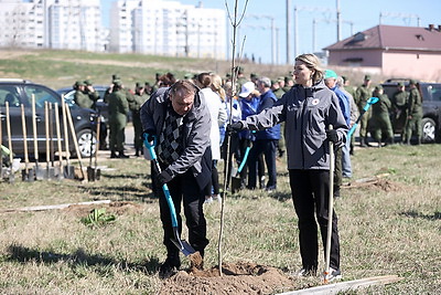 Аллея Памяти героев Великой Победы появилась в молодом микрорайоне Гродно