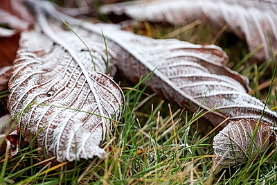 ФОТОХРОНИКА начинает новый информационный день