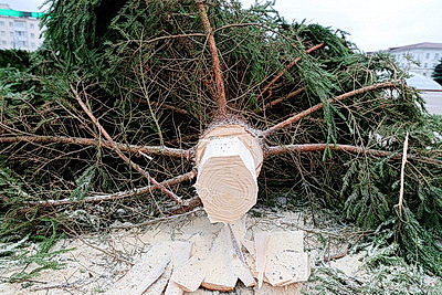 Пиксельные панно и три километра гирлянд. В Витебске идет монтаж главной новогодней елки