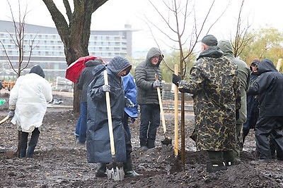 Республиканский субботник проходит в Минске