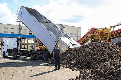 Жабинковский сахарный завод планирует получить около 150 тыс. тонн сахара из свеклы нового урожая
