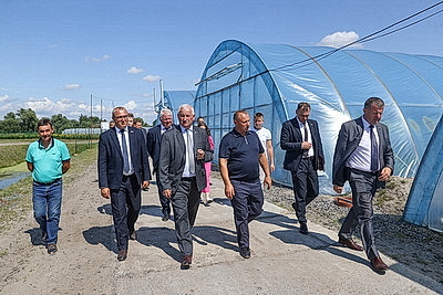 КФХ Столинского района используют пеллеты для производства плодоовощной продукции