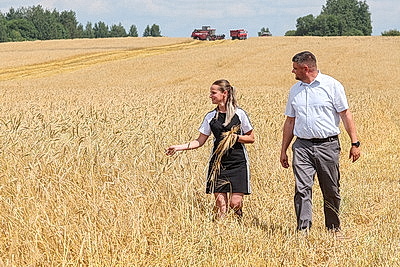 Уборка озимого ячменя идет в Дубровенском районе