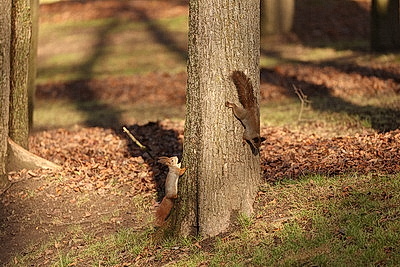 ФОТОХРОНИКА начинает новый информационный день