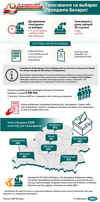 Инфографика. Голосование на выборах Президента Беларуси