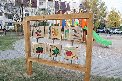 Гражданские инициативы. Опыт работы ТОС рассмотрены на выездном заседании Совета Республики