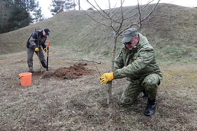 Руководство Гродненского облисполкома присоединилось к акции \"Дай лесу новае жыццё\"