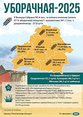 Инфографика. Уборочная - 2025