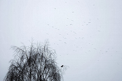 ФОТОХРОНИКА начинает новый информационный день