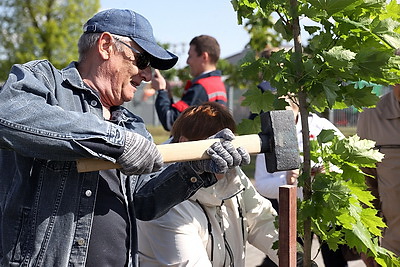 Аллею Памяти заложили возле Брестской крепости в честь 80-летия Победы