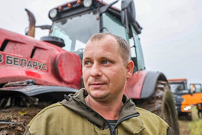 Уборка кукурузы на силос идет в Витебском районе