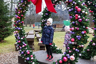 Возвращение Снегурочки большим праздником отметили в Беловежской пуще