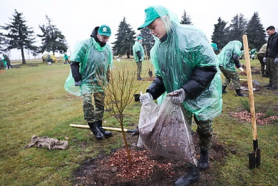 На Кургане Славы на субботнике заложили новый парк в виде крыльев аиста