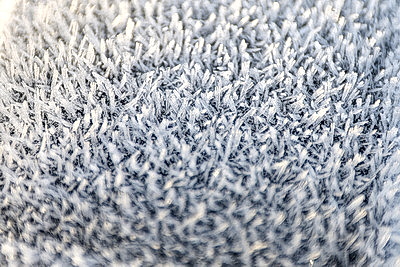 ФОТОХРОНИКА начинает новый информационный день