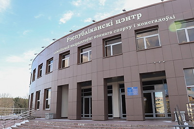 Специализированный тип спортивной лошади планируют вывести в Беларуси