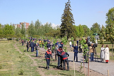 Аллею Памяти заложили возле Брестской крепости в честь 80-летия Победы