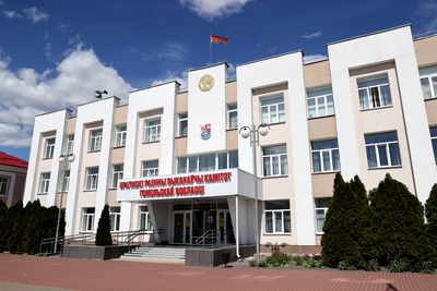 Сети коммуникаций в жилом секторе, благоустройство. Крупко провел прием граждан в Брагине
