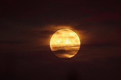 \"Бобровая луна\" над Беларусью