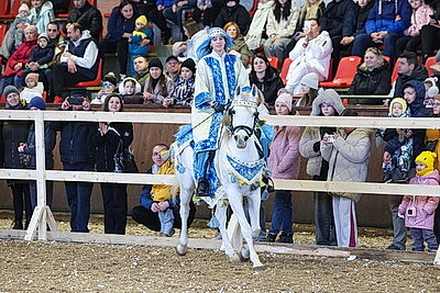 В Могилевском районе прошла международная выставка-шоу породистых лошадей \"Осень-2025\"