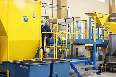 Как выращивают новые леса в Брестской области