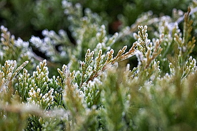 ФОТОХРОНИКА начинает новый информационный день