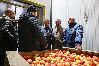 Комплекс для выращивания томатов построили в Ольшанах по программе \"Один район - один проект\"