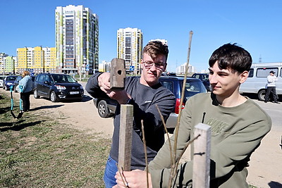 Аллея Памяти героев Великой Победы появилась в молодом микрорайоне Гродно