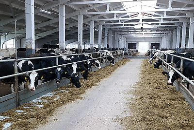 Сергеенко в Браславе пообщался с молодыми специалистами и ознакомился с новым отделением ЦРБ