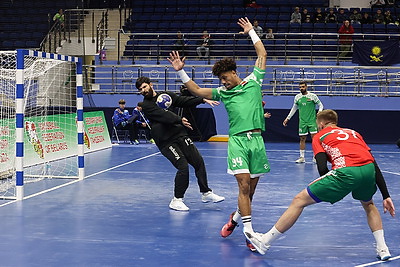 Гандболисты сборной Беларуси выиграли международный турнир в Минске