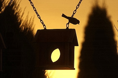 ФОТОХРОНИКА начинает новый информационный день