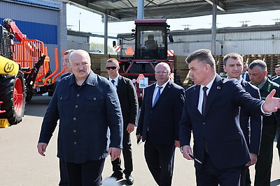 Лукашенко во время рабочей поездки в Витебскую область посетил Оршанский лесхоз