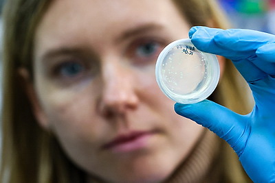 Белорусские ученые создают инновационные препараты для медицины и сельского хозяйства